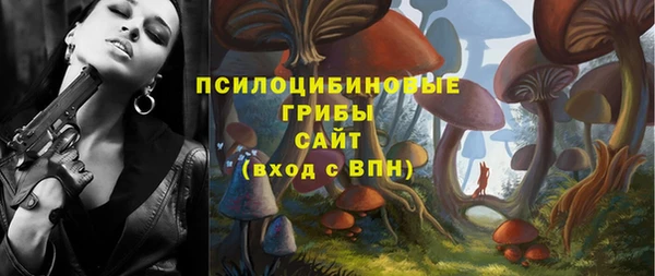 стафф Абинск